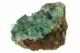 Fluorite Crystal Cluster - Rogerley Mine #143039-1